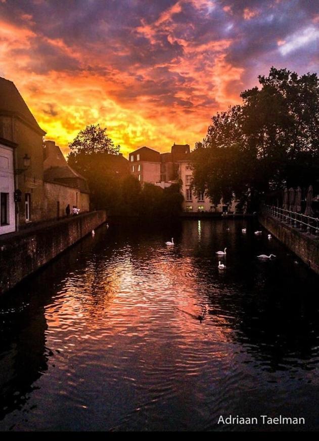 Canal Central Brugia Zewnętrze zdjęcie